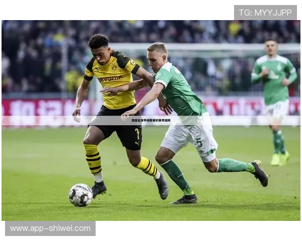 三亿体育下载app官方最新版提供丰富赛事资讯和实时比分