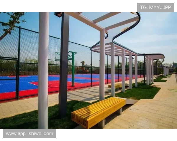 半岛综合体育：打造全民健身新高地的全面发展策略与未来规划