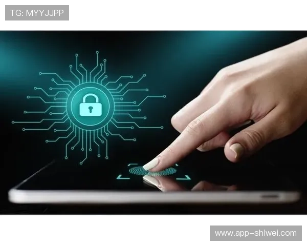 江南体育app加强数据安全保障确保用户隐私权益得到有效保护